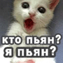 Аватар пользователя