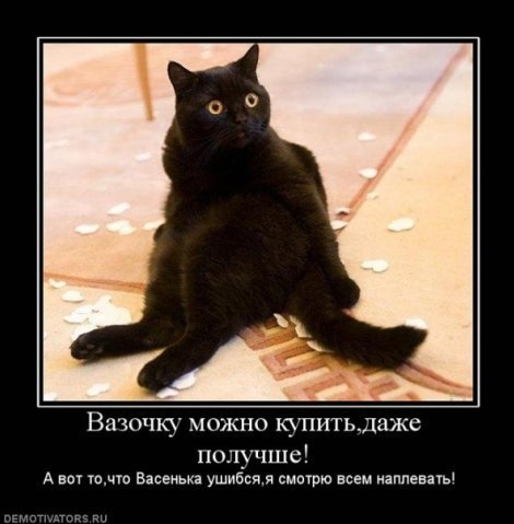 Вася расстроен))).jpg