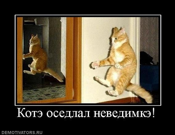 Котэ и невидимка.jpg