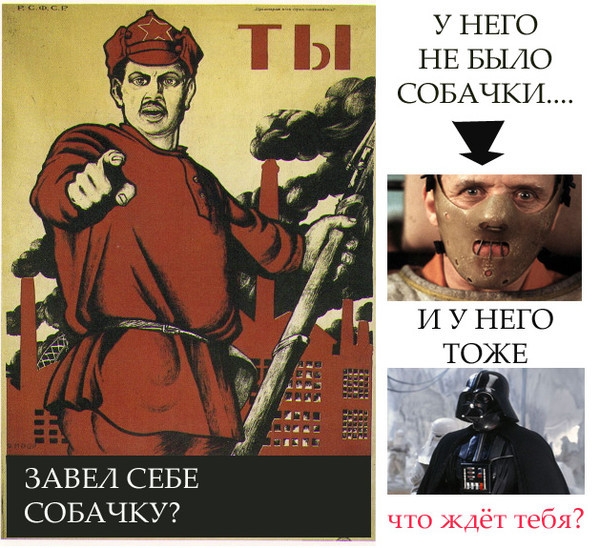 Прикол Собака!