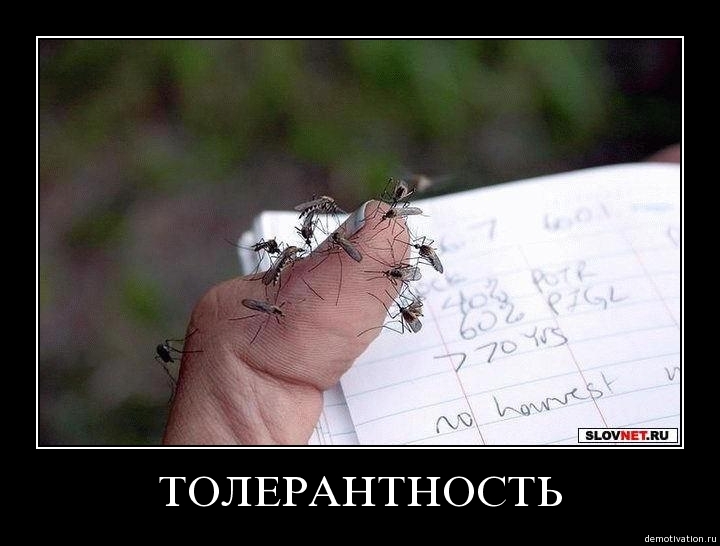 Демотиваторы 41