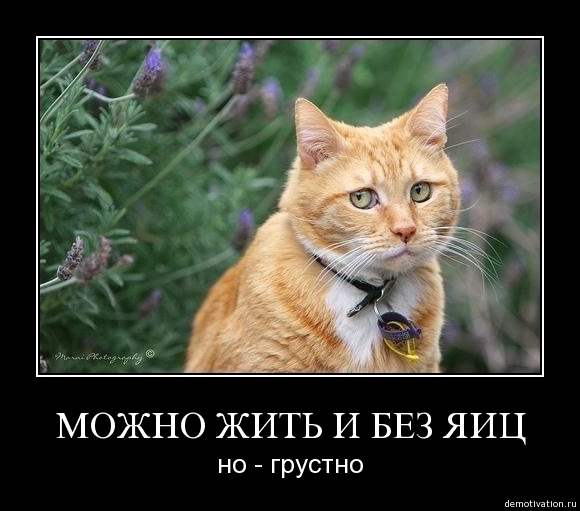 Demotivator12