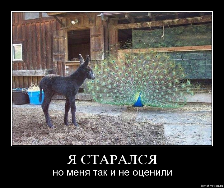 Demotivator38