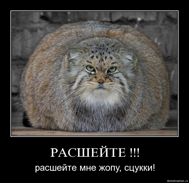 Demotivator310