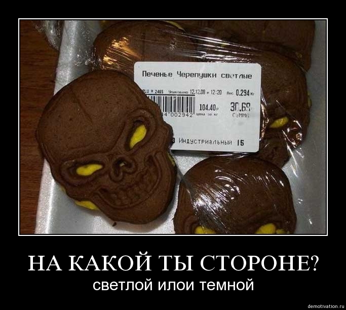 Demotivator410
