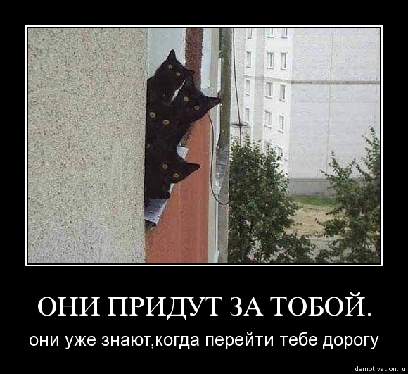 Demotivator52
