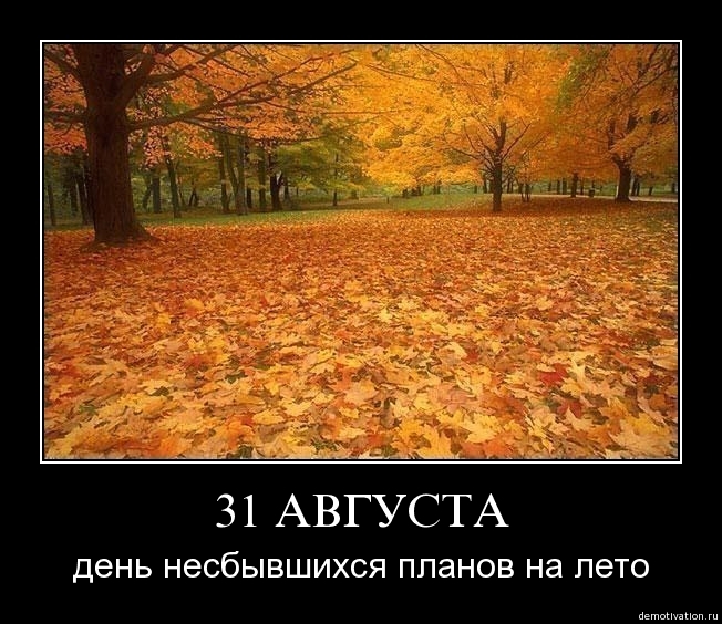 Demotivator53