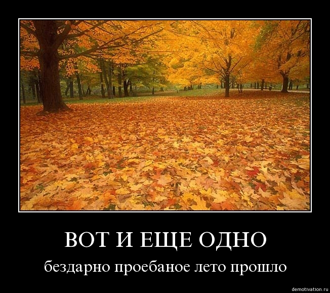 Demotivator57