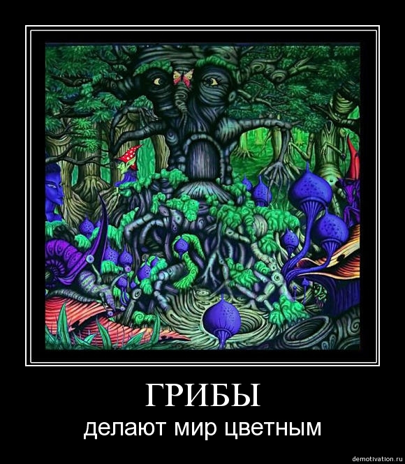 Демотиваторы!7