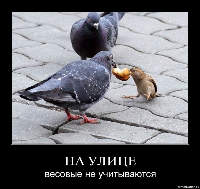 Демотиваторы!11