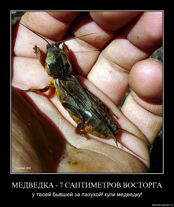 Демотиваторы!13