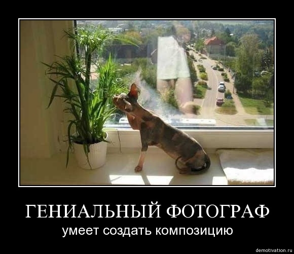 Демотиваторы!16
