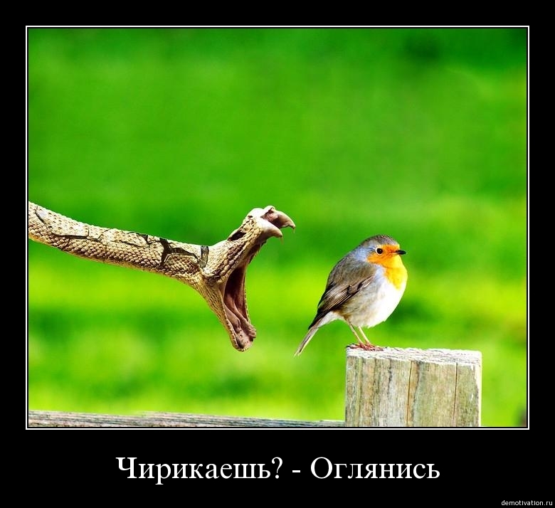 Демотиваторы!18