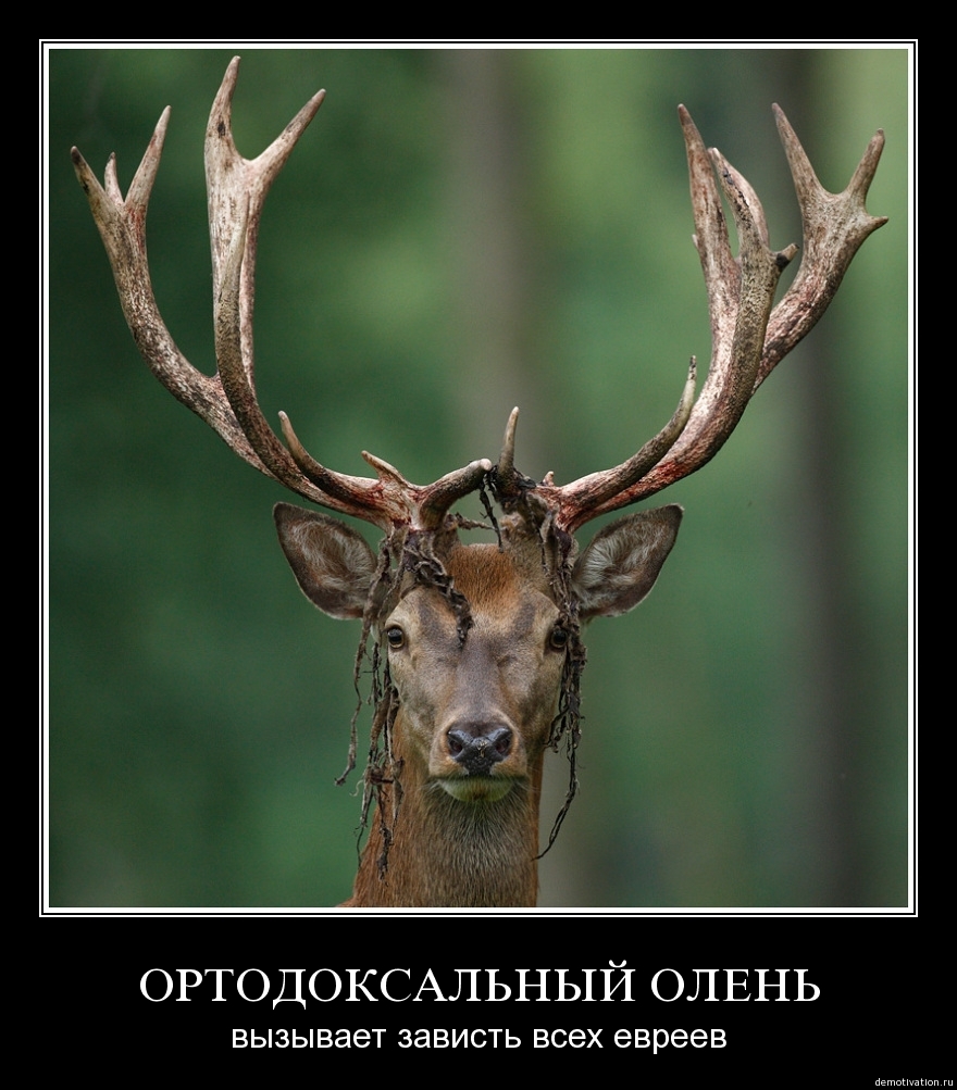 Демотиваторы!26