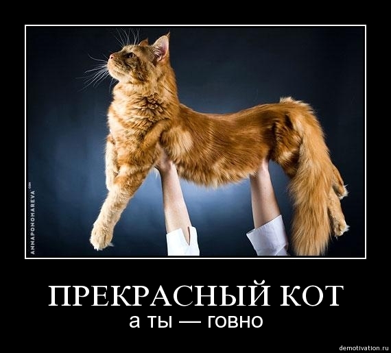 Демотиваторы!28