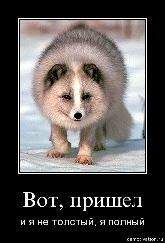 Демотиватор7