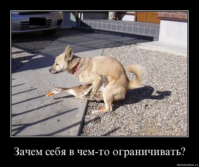 Демотиваторы15