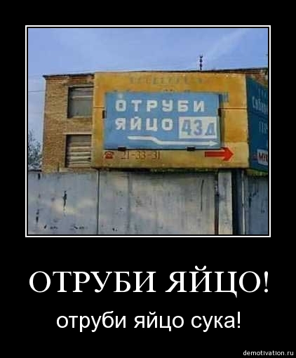 Демотиваторы39
