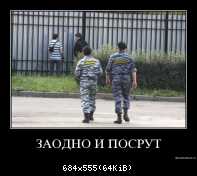 Демотиваторы53