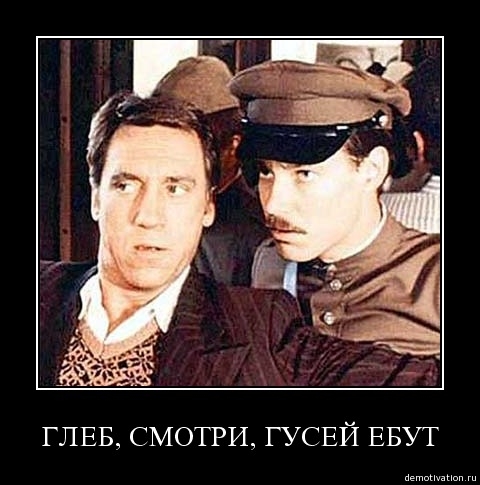 Демотиваторы56