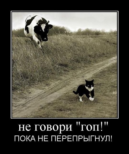 Demotivator7