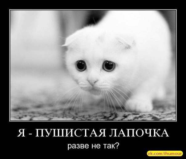 FnaqEudR3xw
