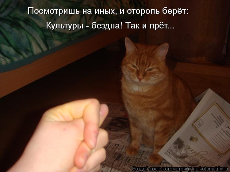 kotomatritsaы c.