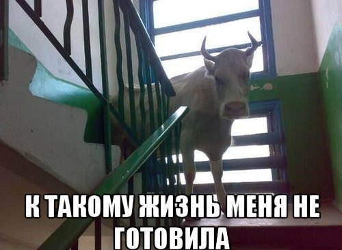 LT2RwfpEYvY