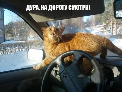 ежедневник наблюдателя