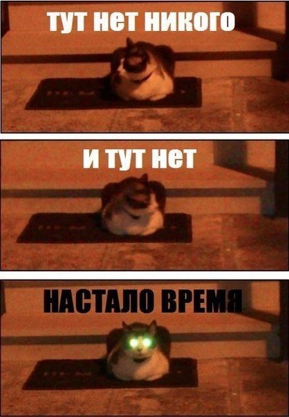 ежедневник наблюдателя