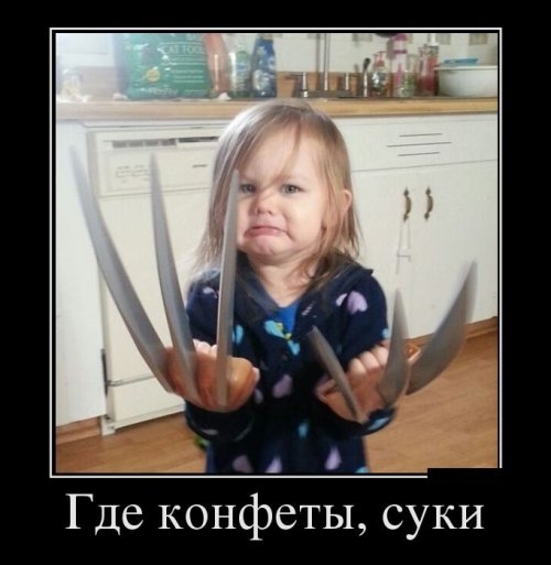ежедневник наблюдателя
