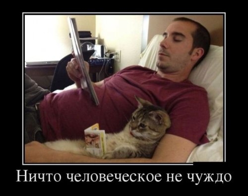 ежедневник наблюдателя