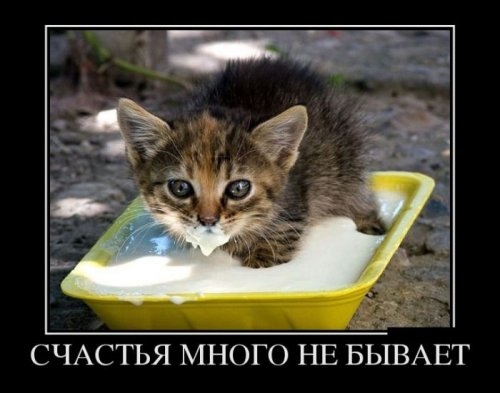 ежедневник наблюдателя
