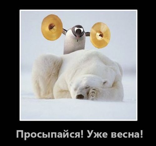 ежедневник наблюдателя