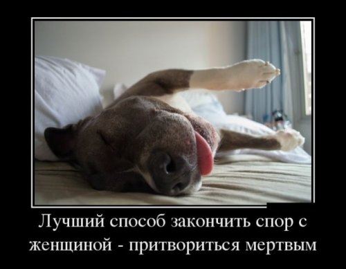 ежедневник наблюдателя