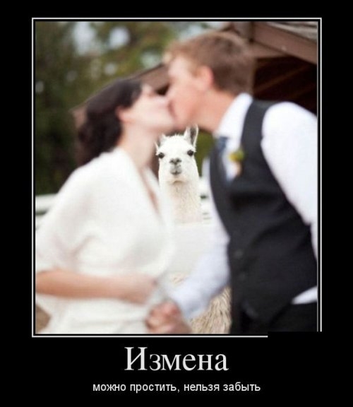 ежедневник наблюдателя