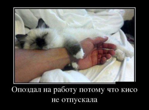 ежедневник наблюдателя