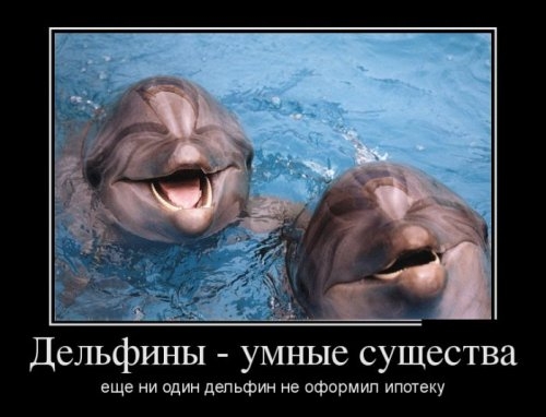 ежедневник наблюдателя