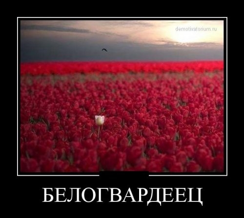 ежедневник наблюдателя