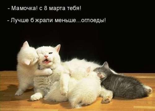 8 марта юмор