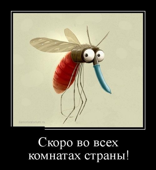 ежедневник наблюдателя
