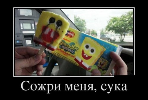 ежедневник наблюдателя