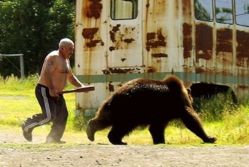 ежедневник наблюдателя