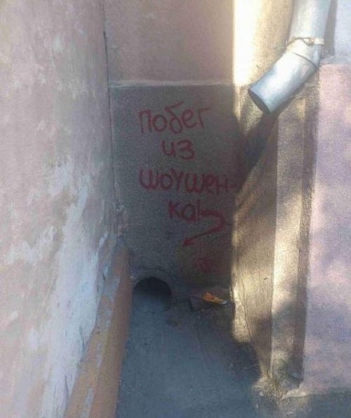 ежедневник наблюдателя
