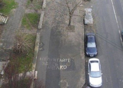 ежедневник наблюдателя