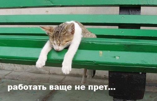 ежедневник наблюдателя