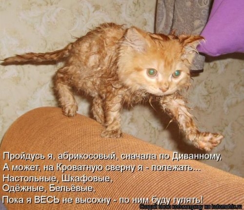 ежедневник наблюдателя