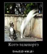ежедневник наблюдателя